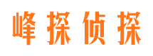 龙海侦探调查公司